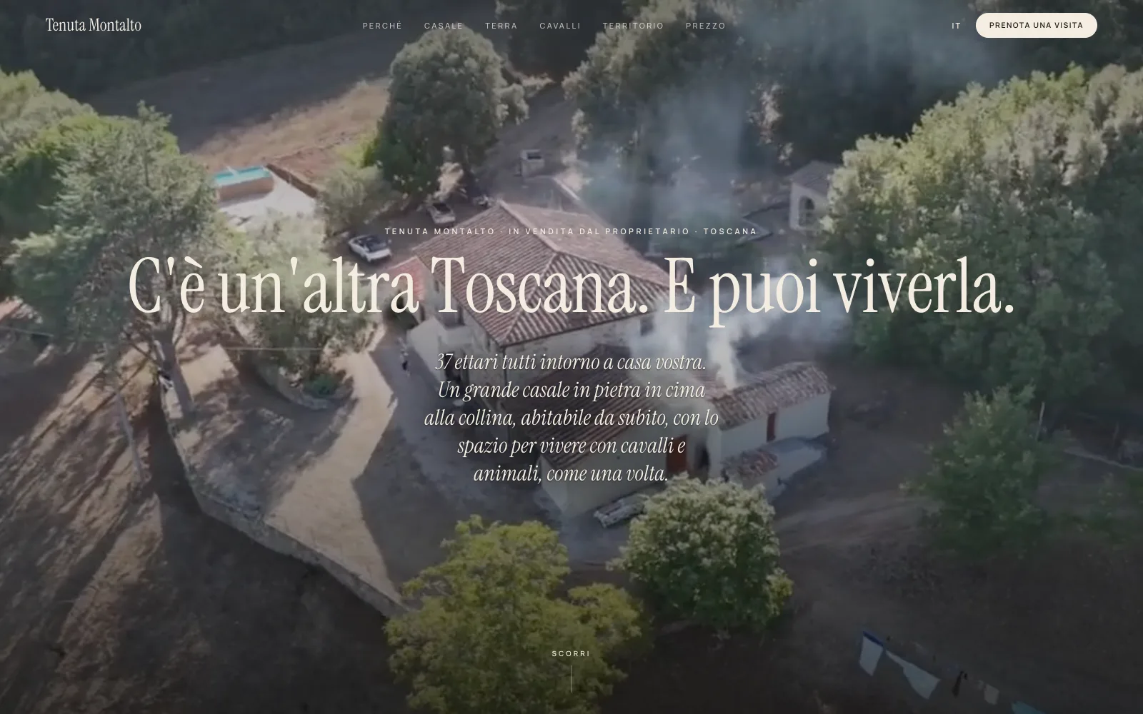 Opening of the Tenuta Montalto website
